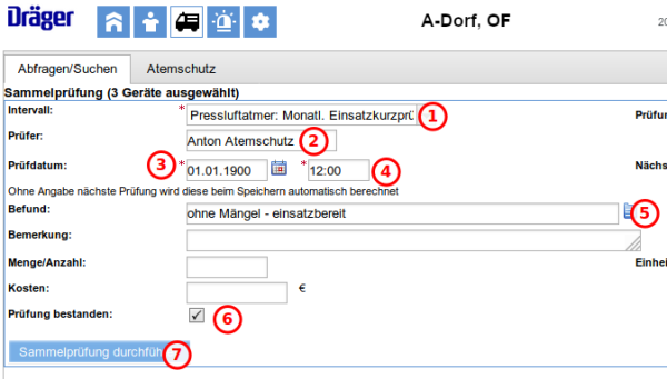 Sammelprüfung Schritt 2: Prüfdaten eingeben Sammelprüfung Schritt 2: Prüfdaten eingeben